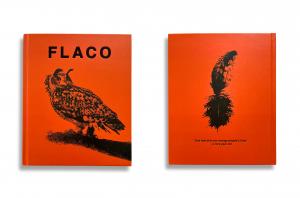 Blurring Books releases “FLACO: The Owl Who Escaped Captivity and Won the Hearts of the World” by Jonathan Hollingsworth