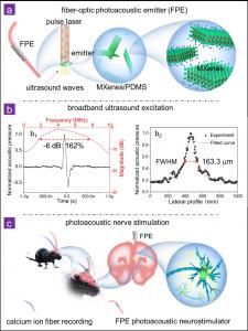 Broadband ultrasound generator over a fiber-optic tip for in vivo emotional stress modulation
